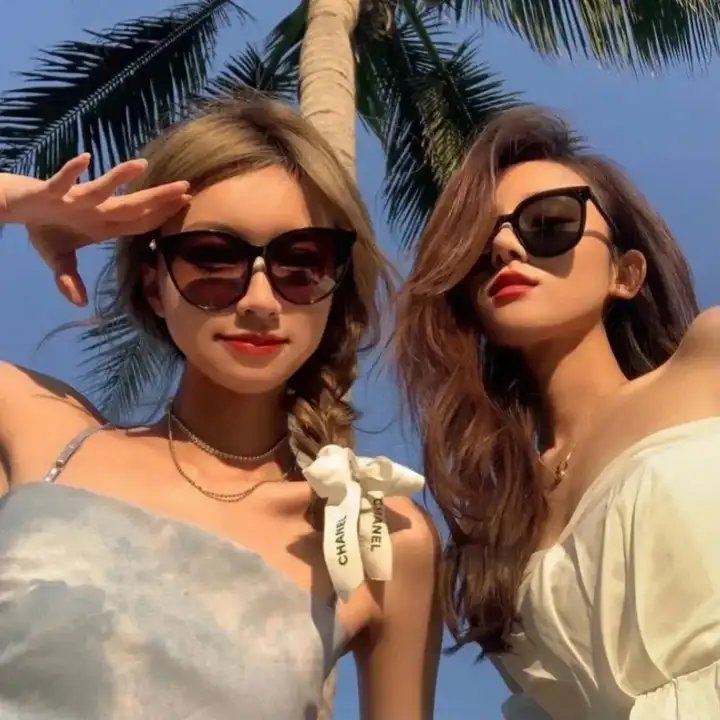 我的朋友是萌鲨 封面